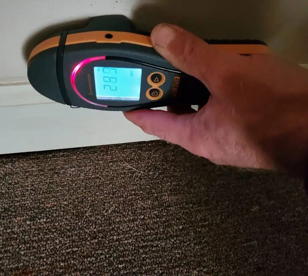 Moisture detection at baseboard during Sewage Cleanup & Sanitation in Lake Murray of Richland